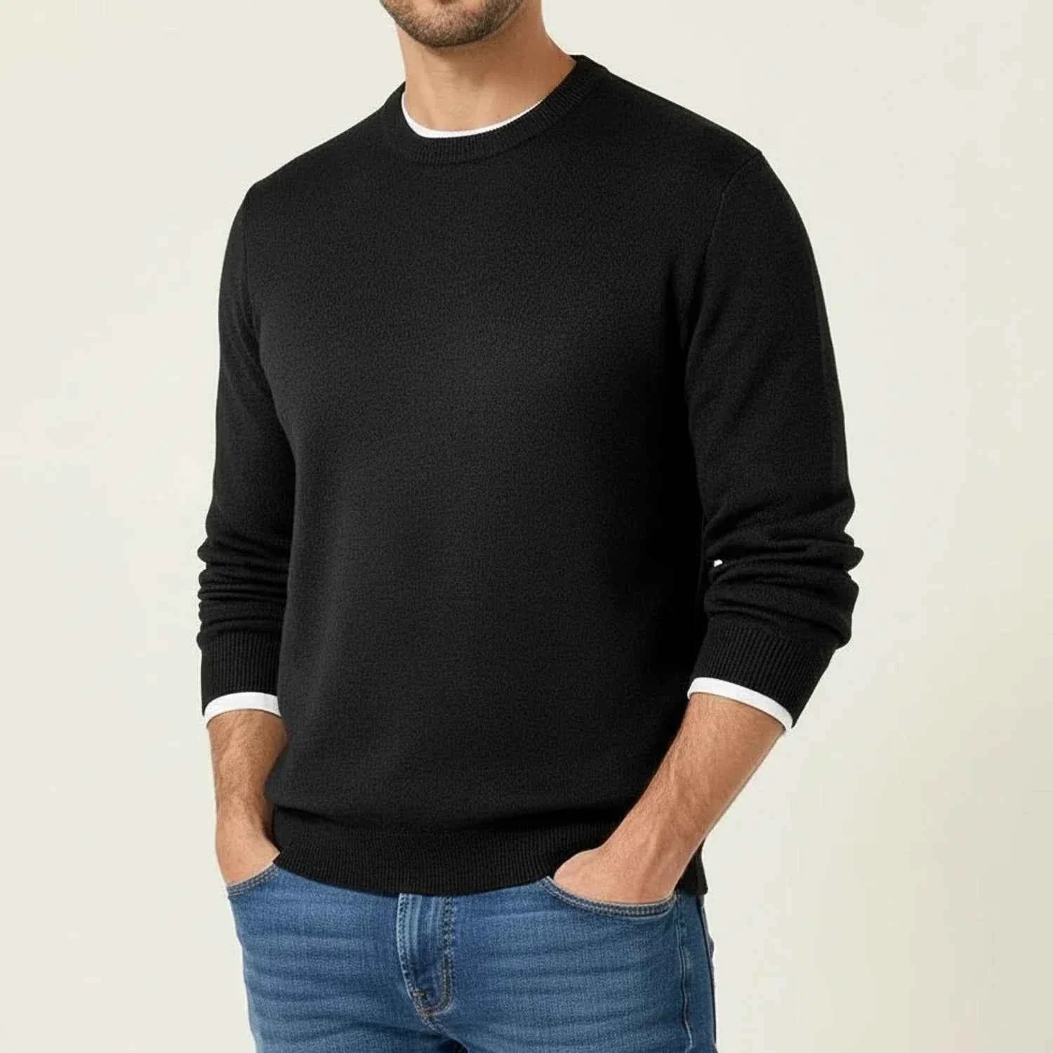 Men's Regular Fit Crewneck Sweater