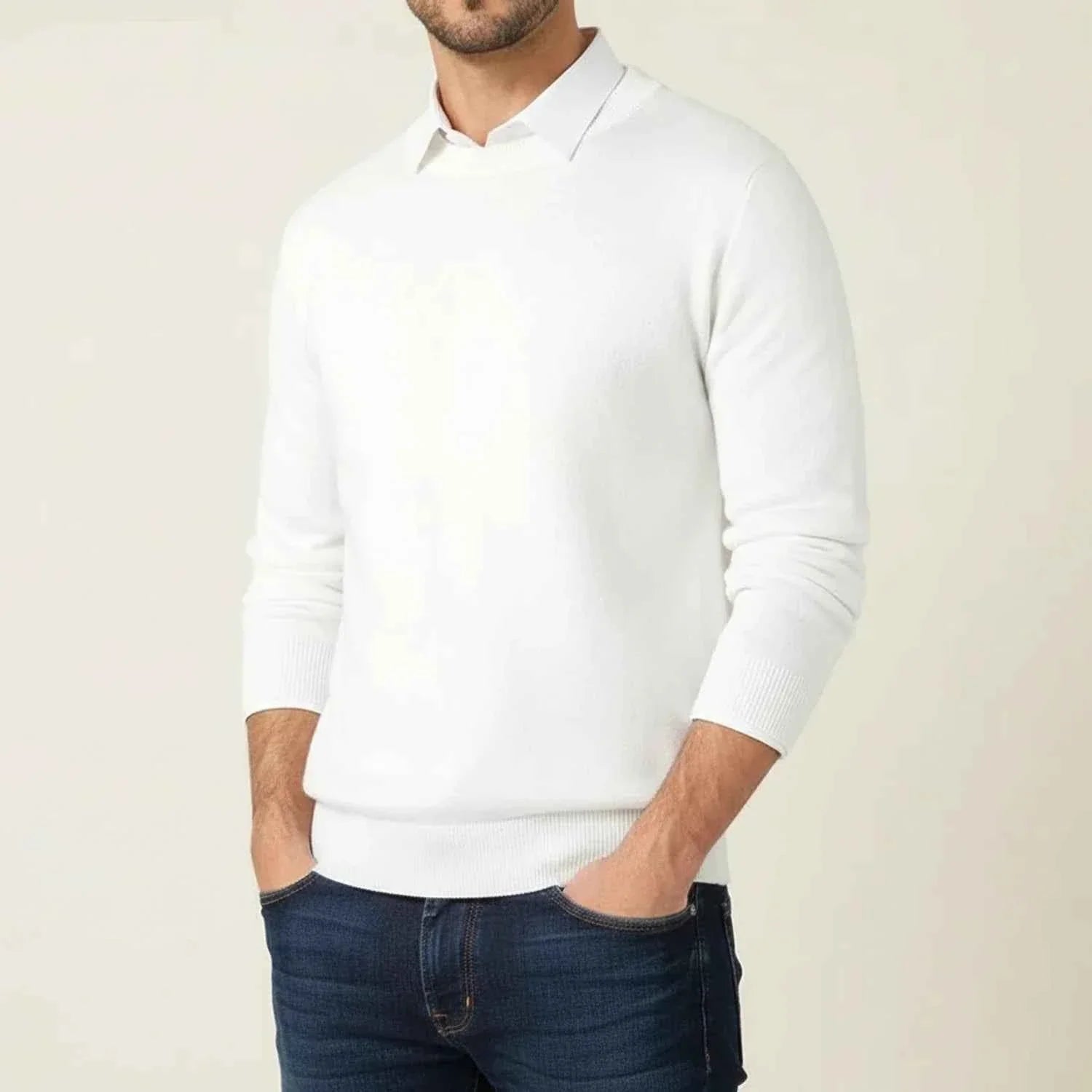 Men's Regular Fit Crewneck Sweater