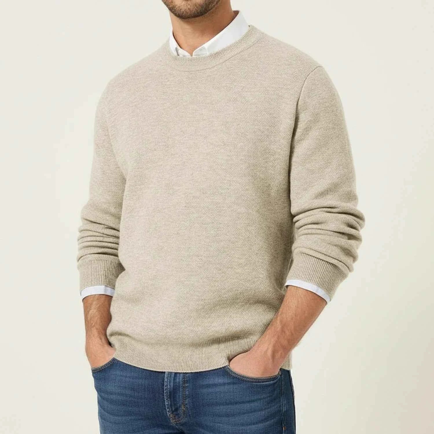 Men's Regular Fit Crewneck Sweater